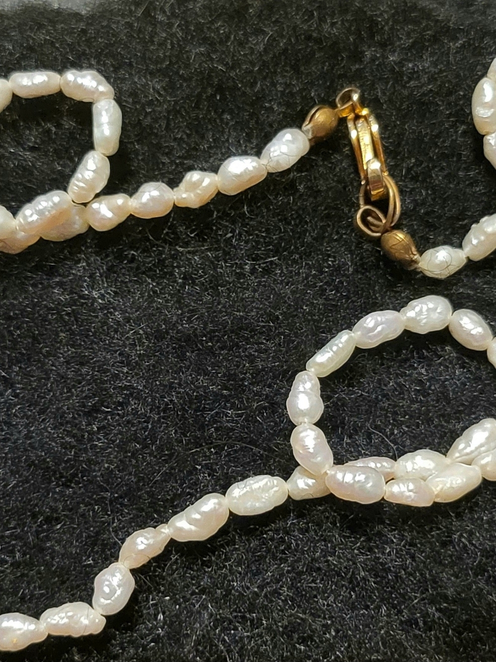 Freshwater Pearl Necklace with Gold Clasp - White